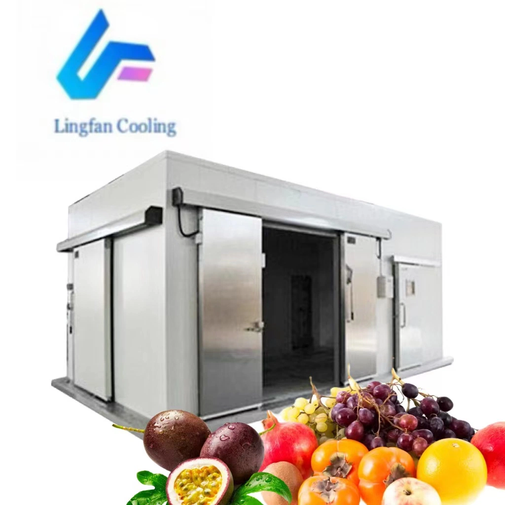 China Factory Mini Chicken Coolroom Chambre Froide Blast Freezer Cold Rooms Portable Cold Storage for Sale