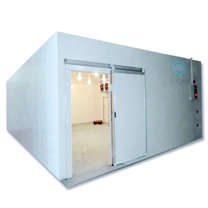 Small Cold Room/Cold Store Room/Cold Storage Room Freezer