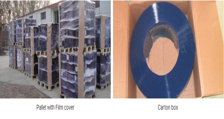 Guangzhou Manufacturer Flexible PVC Curtains and Rolls