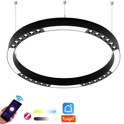 Lampada a aspirazione magnetica sospesa incassata da 48 V con sistema di luce magnetica Pista a luce magnetica rotonda con magnete a LED lineare da 16 mm