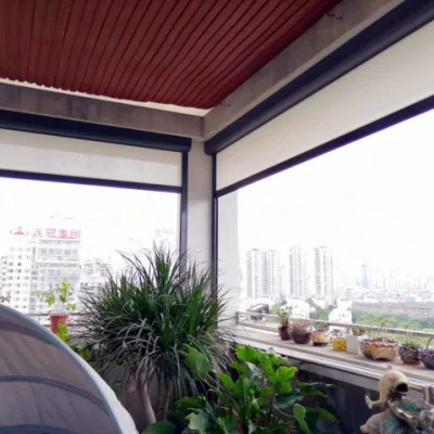  Ripiegamento elettrico/cingolo tipo S dritto Smart con montaggio a soffitto Tenda per soggiorno di buona qualità