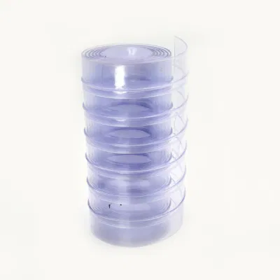  Strisce in PVC resistenti agli insetti Tenda senza DOP