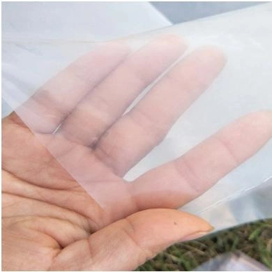  80mic -- 200mic Anti-Mist Roll UV Tunnel Grow Tent plastica per l&prime;agricoltura orticoltura