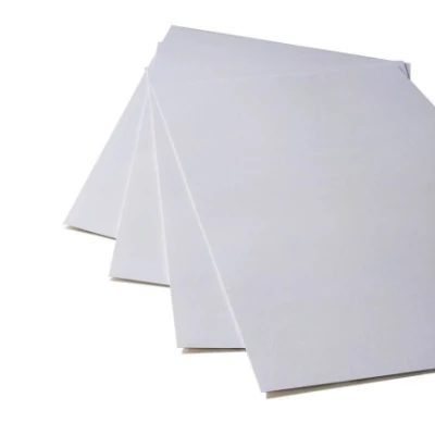  Foglio di plastica PVC sottile flessibile A4 da 0,3 mm per la copertura legante