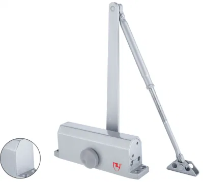  Chiudiporta regolabile in alluminio dal fornitore cinese Guangdong Chuanying hardware-N0. Sconto CY-072