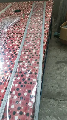  Barriera a nastro in PVC magnetico 200*3