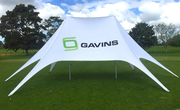 Professional OEM Tradeshow Aluminum Folding Canopy Marquee/Advertising Event POP up Gazebo Tent, Dome Tent, Inflatable Air Blow Tent, Arch, Star &amp; Spider Tent