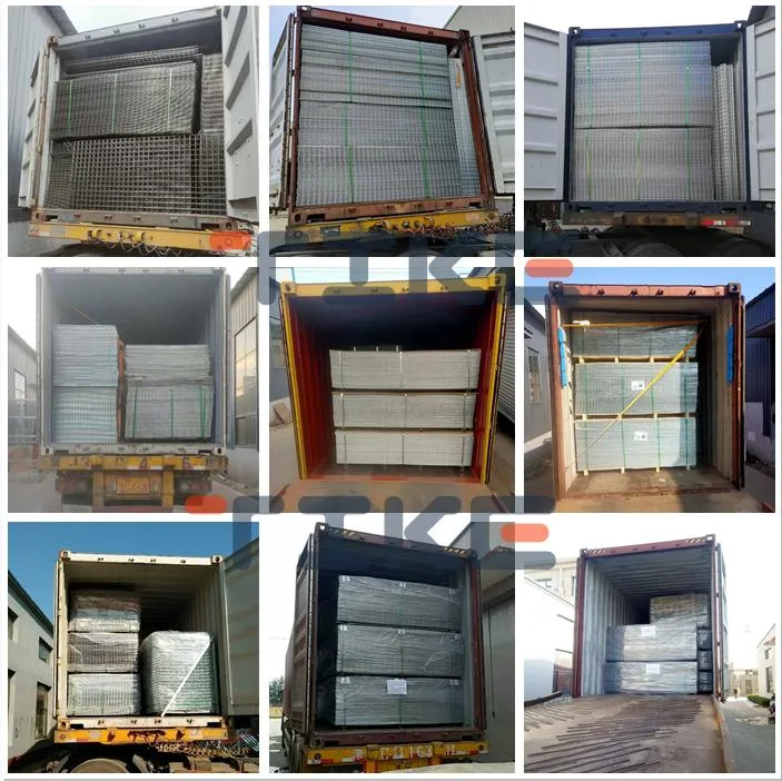 Galvanized Welded Wire Mesh Panel