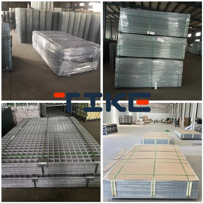 Electro Galvanized Welded Wire Mesh Panel