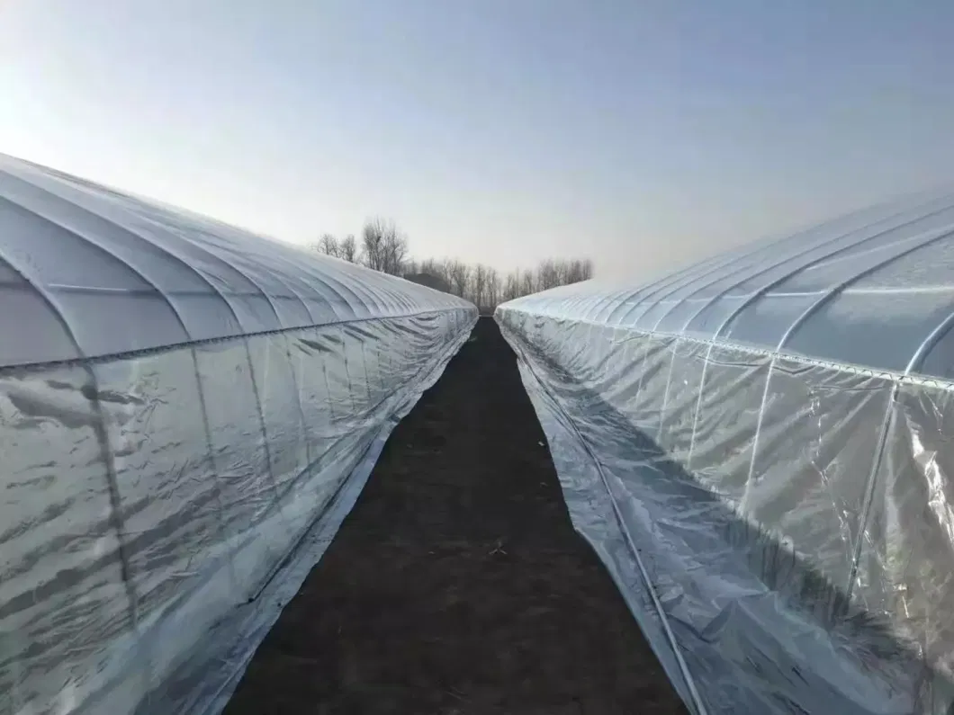 Anti-Mist Anti-Dripping Roll Greenhouse Tunnel Grow Tent UV Plastic for Agriculture Horticulture