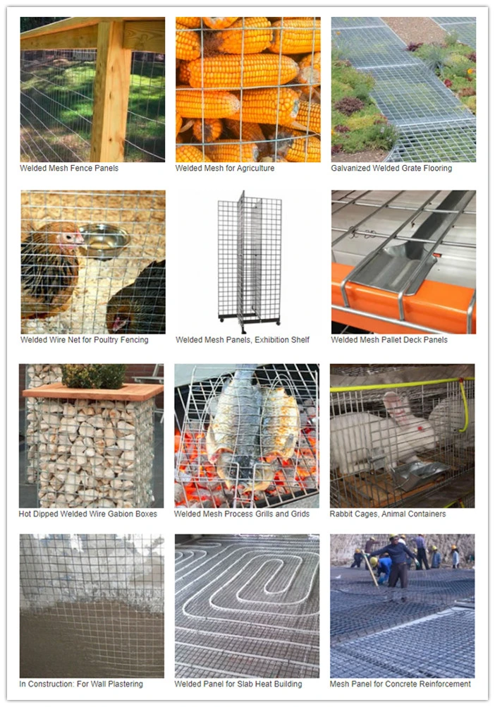 Hot Dipped Galvanized Welded Wire Mesh Panel