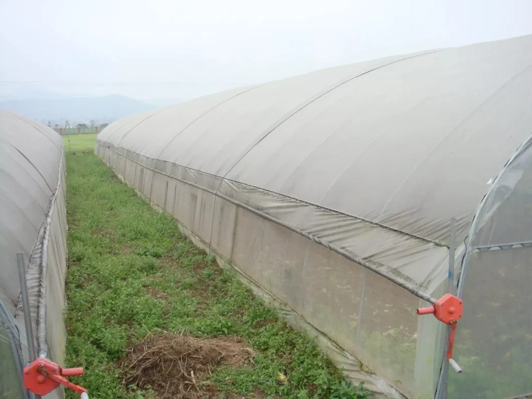 Anti-Mist Anti-Dripping Roll Greenhouse Tunnel Grow Tent UV Plastic for Agriculture Horticulture