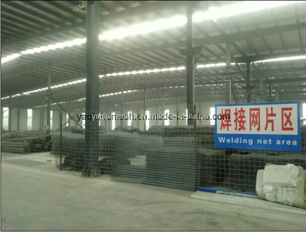 2.0mm 3.0mm 4.0mm Construction Galvanized Welded Wire Mesh Panel Fence Panel for Bird Cage