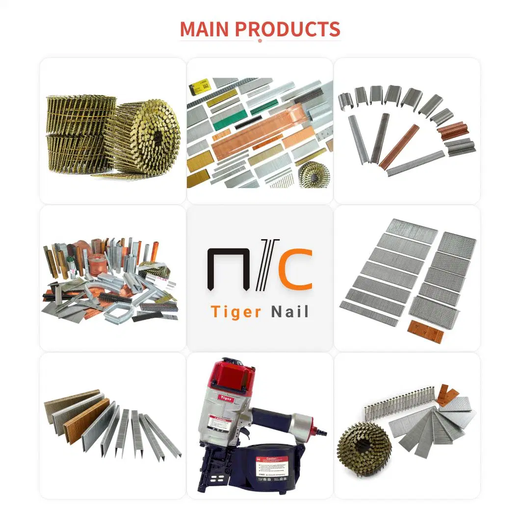 JIS ANSI Tiger Corrugated Certon/Pallet Nail Suppliers in Hebei Screw