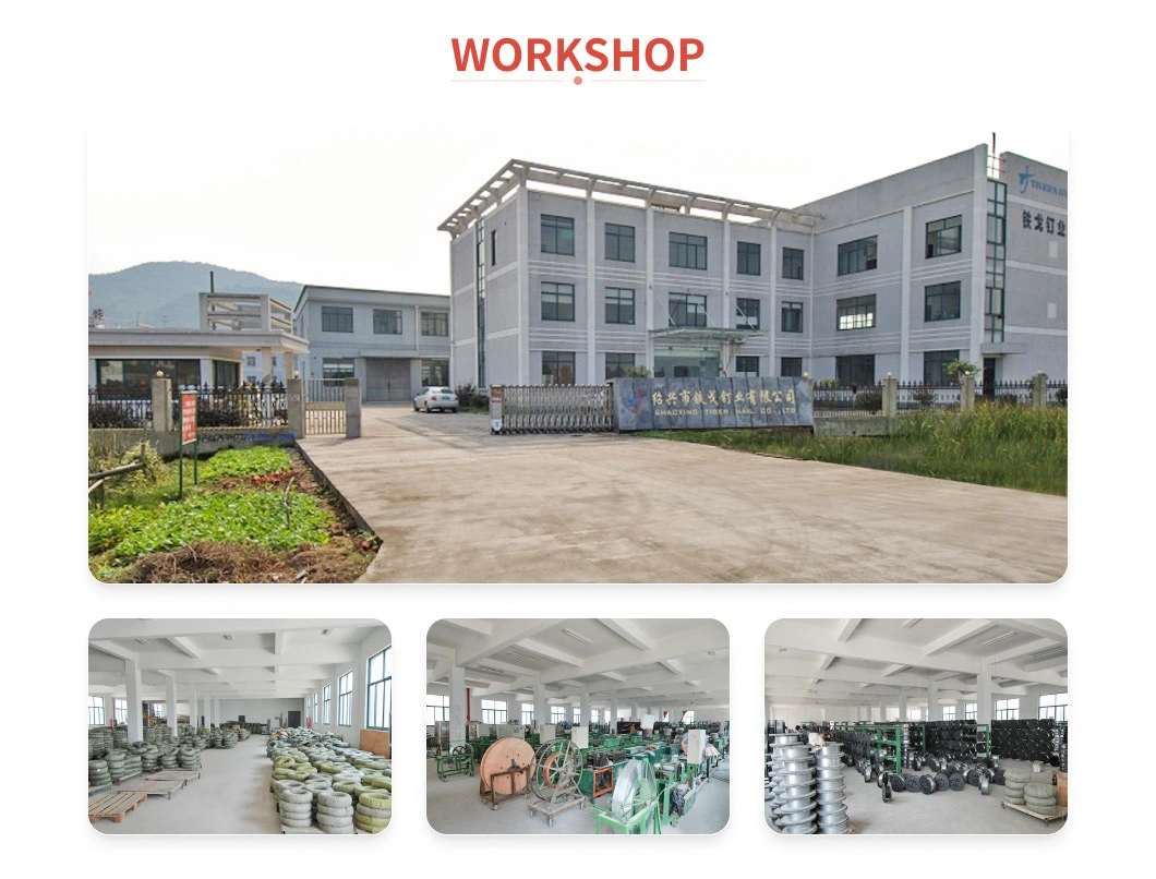 JIS ANSI Tiger Corrugated Certon/Pallet Nail Suppliers in Hebei Screw