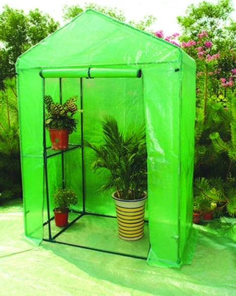 Haylite Mini Green House Tent with High Quality on Sale