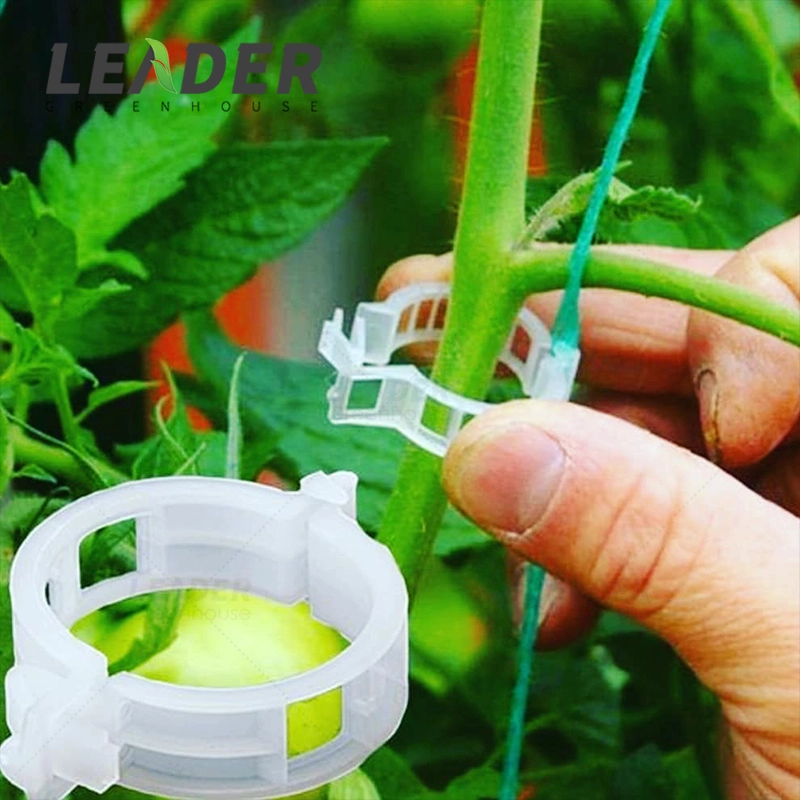 Greenhouse Plant Plastic Holding Clips Tomato Trellis Clips PVC Plant Fixing Clip Round 25mm Tomato Clamp in Stock