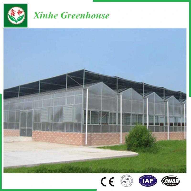 PC Sheet/Polycarbonate Sheet Vegetable Tent for Planting Tomato