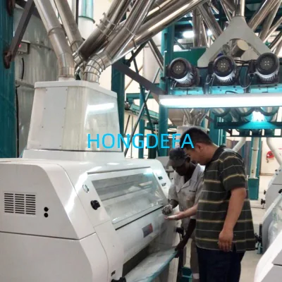  Tanzania Market 30t/D Оборудование для обработки кукурузы для продажи в горячем режиме