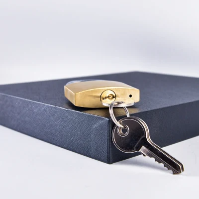 Top Security Pad Lock Industrial Custom Logo Steel Shackle Brass Padlock Keyed Alike Small Mini Copper Brass Padlock