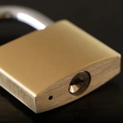 Top Security Pad Lock Industrial Custom Logo Steel Shackle Brass Padlock Keyed Alike Small Mini Copper Brass Padlock