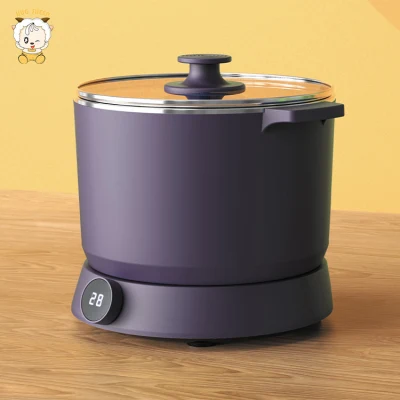 China New Product 2 in 1 Household Application Multifunctional Rice Cooker