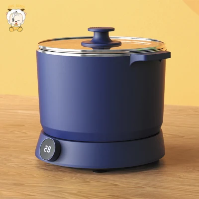 China New Product 2 in 1 Household Application Multifunctional Rice Cooker