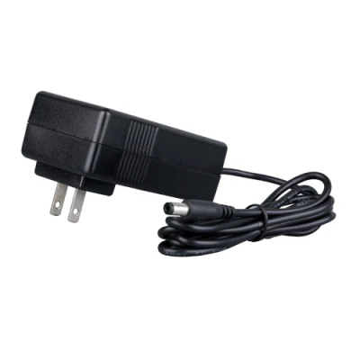 Good Price CE ETL Us 36W 12V 3A 18V 2A Power Adaptor Free Sample Factory+Manufacture Directly Supply 13 Years Factory
