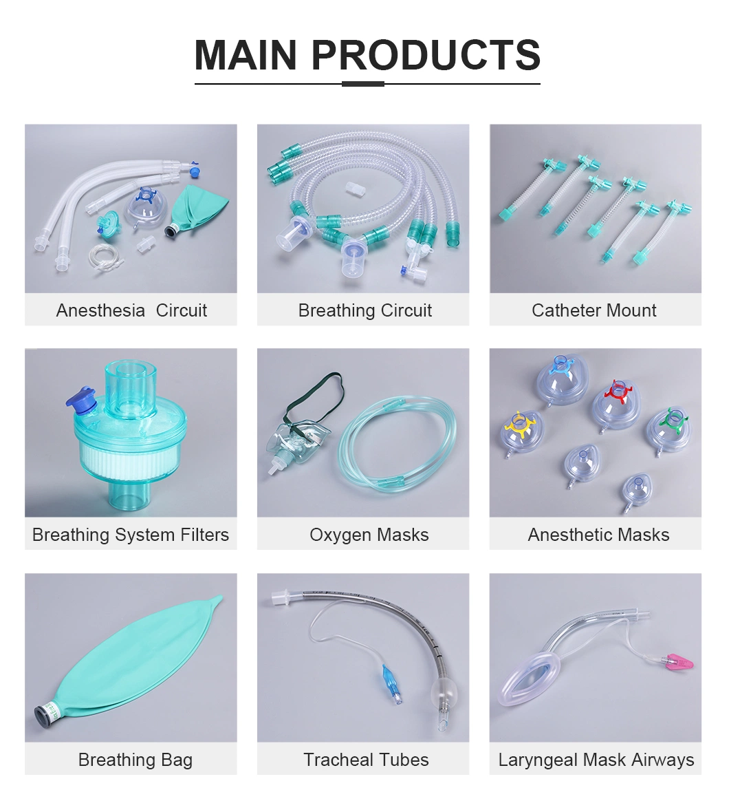 Medical Products Medical Equipment Supplies Hmef Filter Disposable Breathing System Filter China Supplier Bacteria Filter BV Filter with Gas Sampling Port