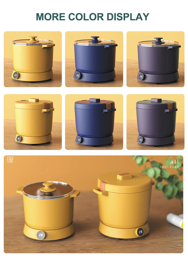 China New Product 2 in 1 Household Application Multifunctional Rice Cooker