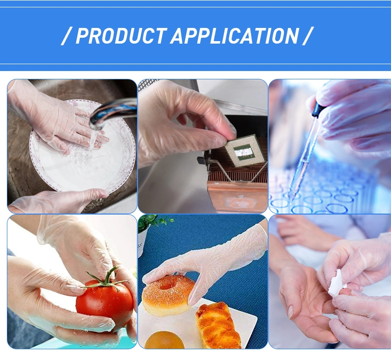 China Supply Manufacture of Disposable PVC Gloves, Vinyl Gloves