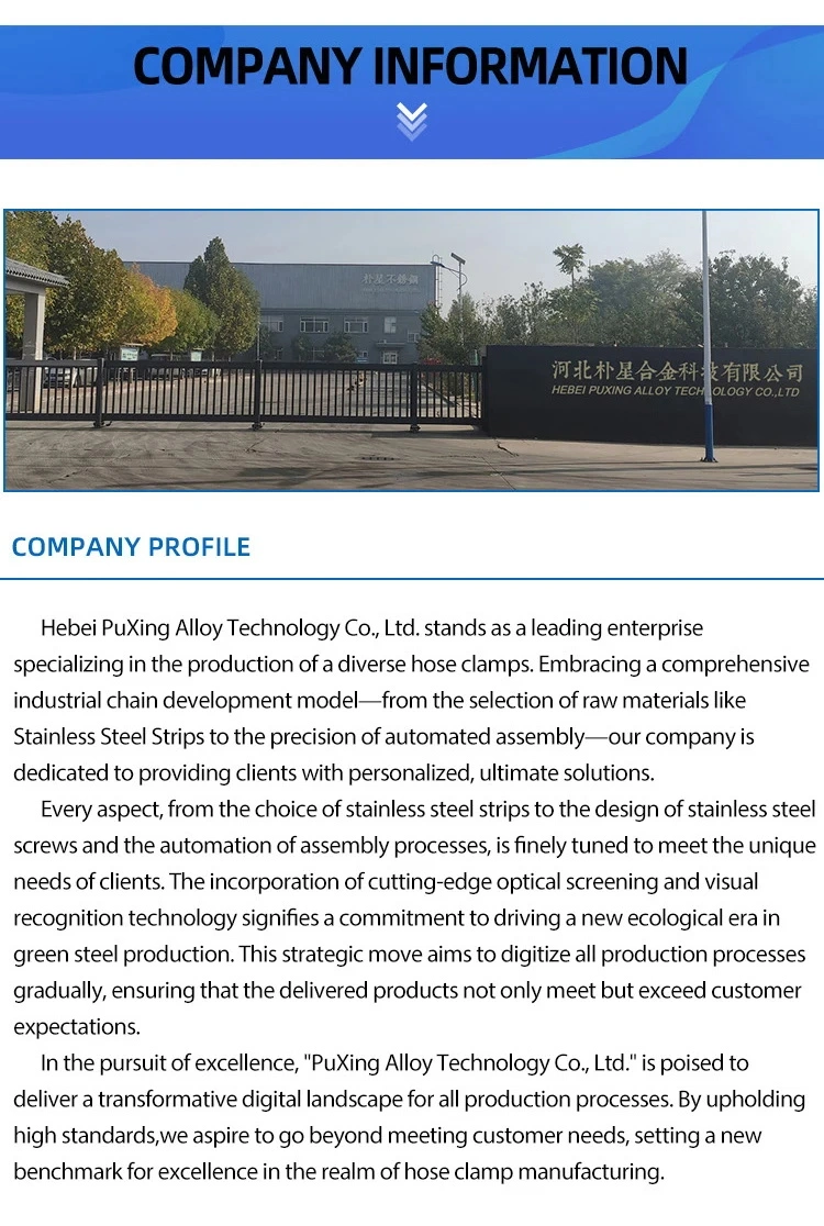 Meet Export Requirements Hebei, China Steel Strip Products