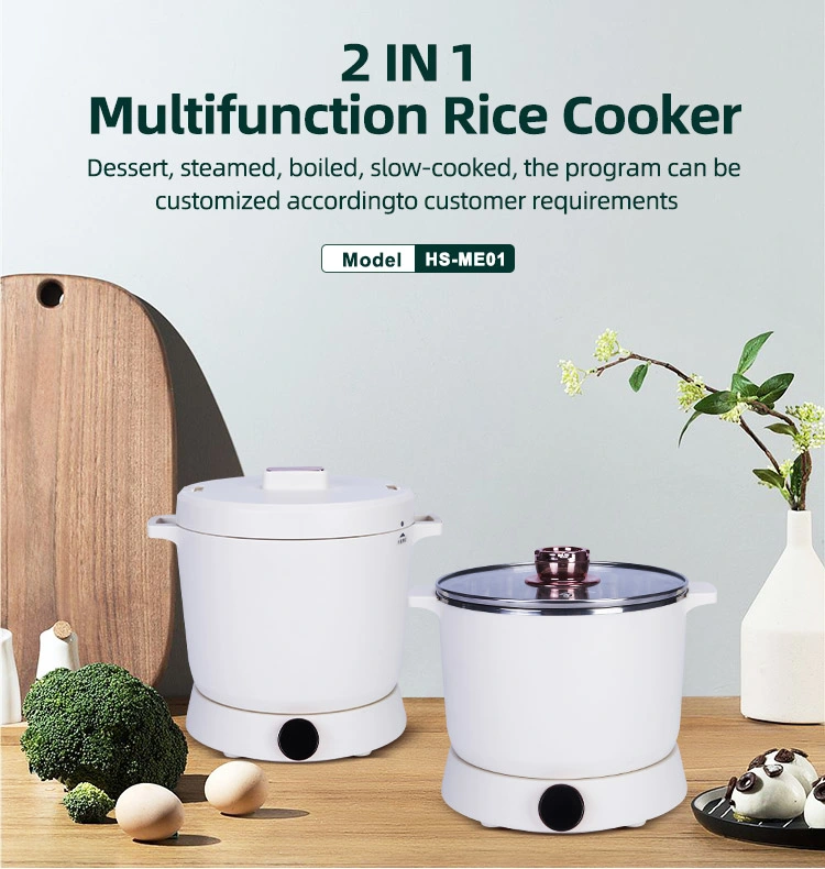 China New Product 2 in 1 Household Application Multifunctional Rice Cooker