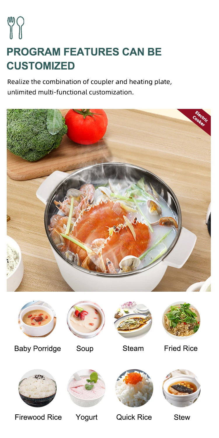 China New Product 2 in 1 Household Application Multifunctional Rice Cooker