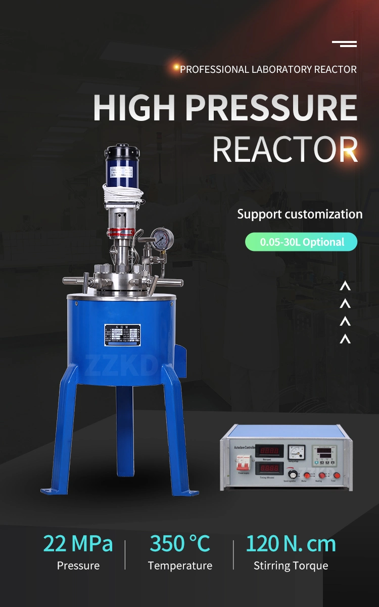 Chemical Autoclave Reactor Vessel Lab Electrical Small Mini High Pressure Reactor with Heating Magnetic Stirrer USA in Stock