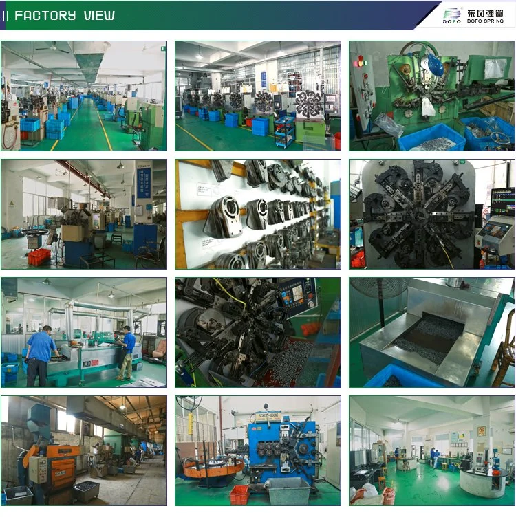 Dofo Supply High Quality Industrial Extension Springs Products