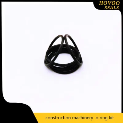 Set di o-ring di tenuta Premium per componenti di macchinari industriali