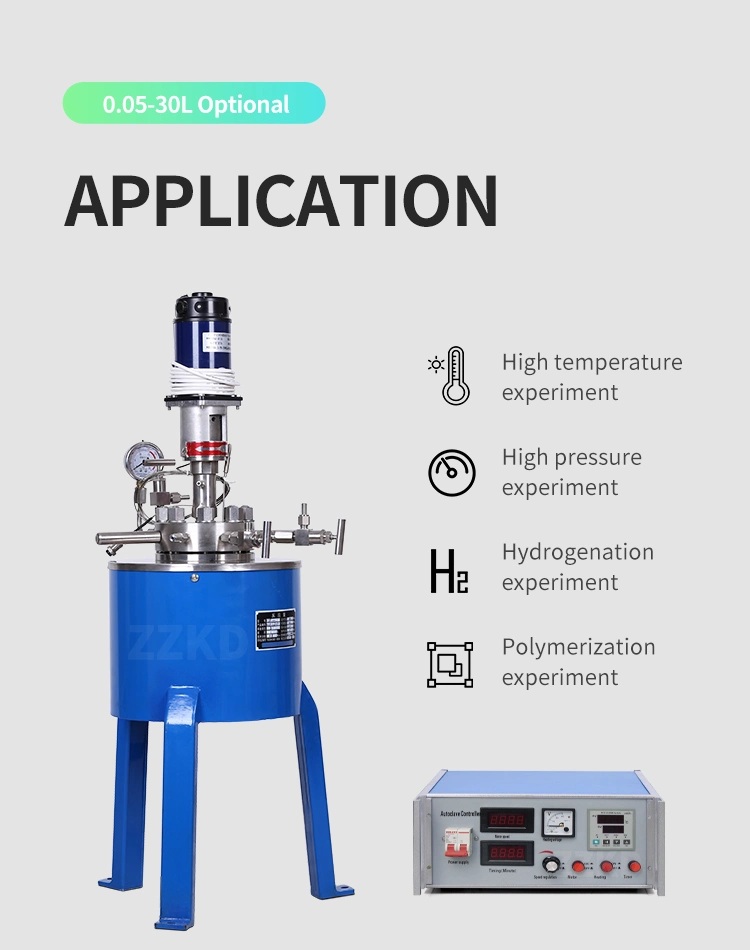 Chemical Autoclave Reactor Vessel Lab Electrical Small Mini High Pressure Reactor with Heating Magnetic Stirrer USA in Stock