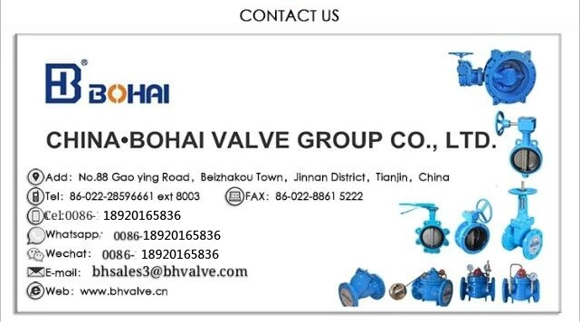 Industrial Flanged Silencing Check Valve DN80 with Excellent Quality