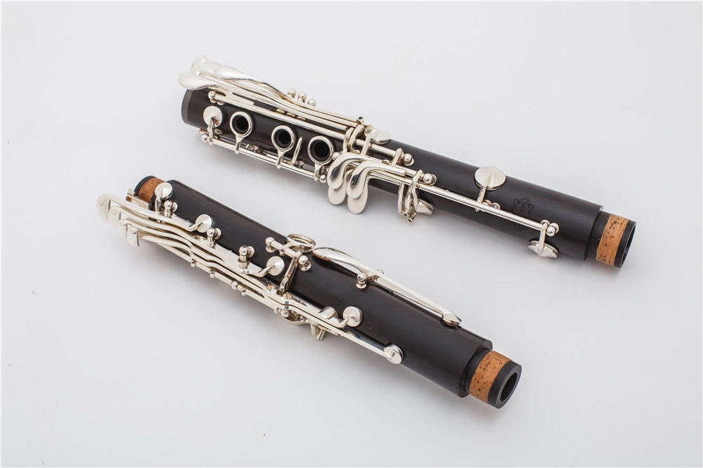 New Product Professional Clarinet, 18 Keys Bb Wooden Clarinet, Made in China