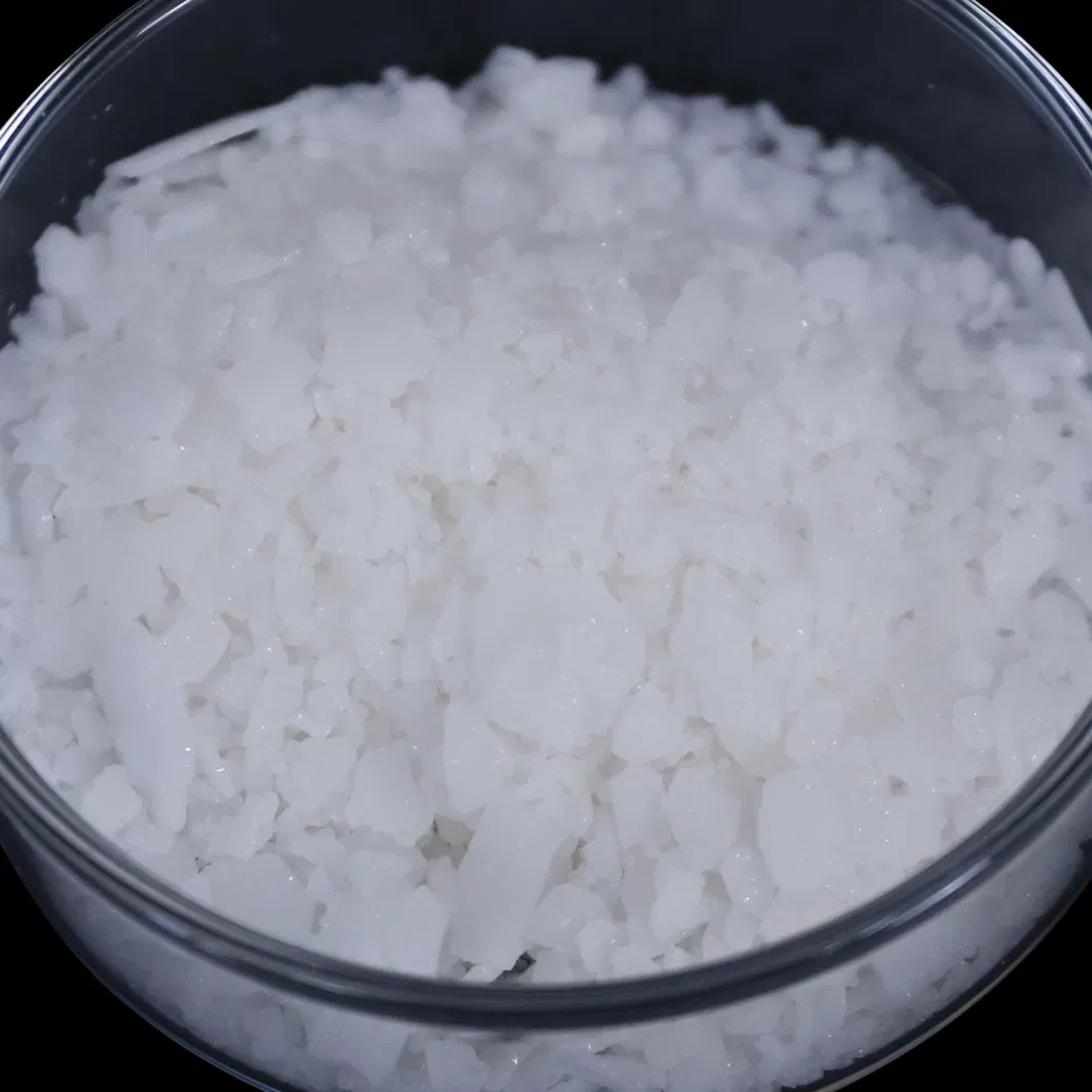 Affordable Benzoic Acid Wholesale Supplier for Food/Feed/Industrial Products
