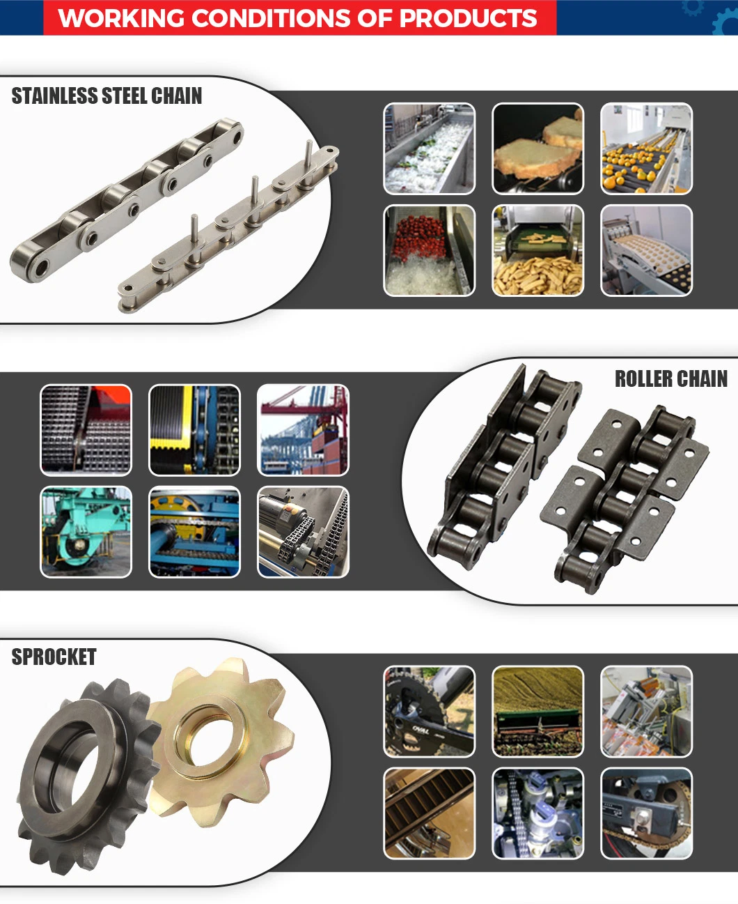 ISO/ANSI/DIN Standard Short Pitch Precision Stainless Steel Hardware Transmission Motorcycle Industrial Roller Chain