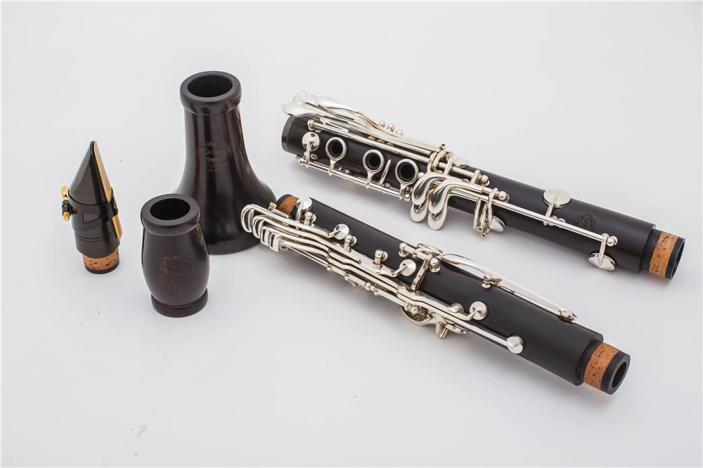 New Product Professional Clarinet, 18 Keys Bb Wooden Clarinet, Made in China