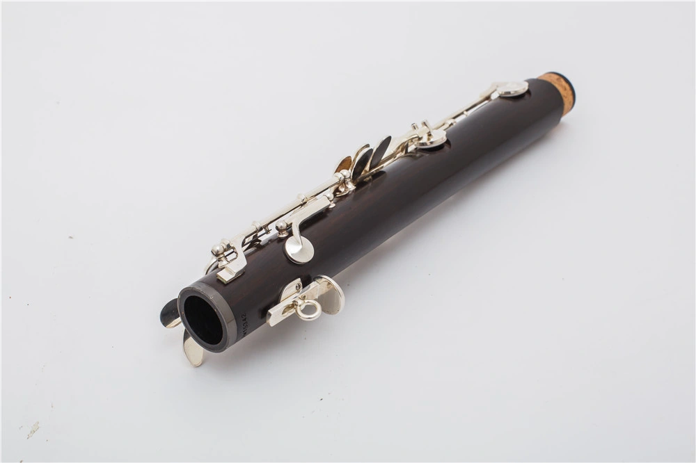 New Product Professional Clarinet, 18 Keys Bb Wooden Clarinet, Made in China