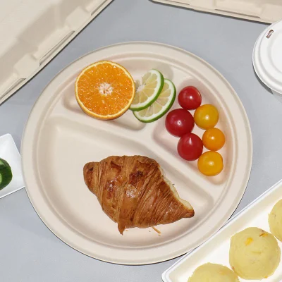 Eco-Friendly 9inch Sugarcane Bagasse Pulp Party Dinner Oil-Proof Food Cake Compostable 3 Compartments Biodegradable Packaging Disposable Paper Plate
