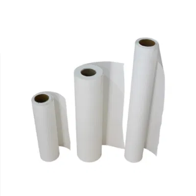 Thermal Sublimation Transfer Paper Directly Sold by The Manufacturer, with Clear and Fidelity Printing.