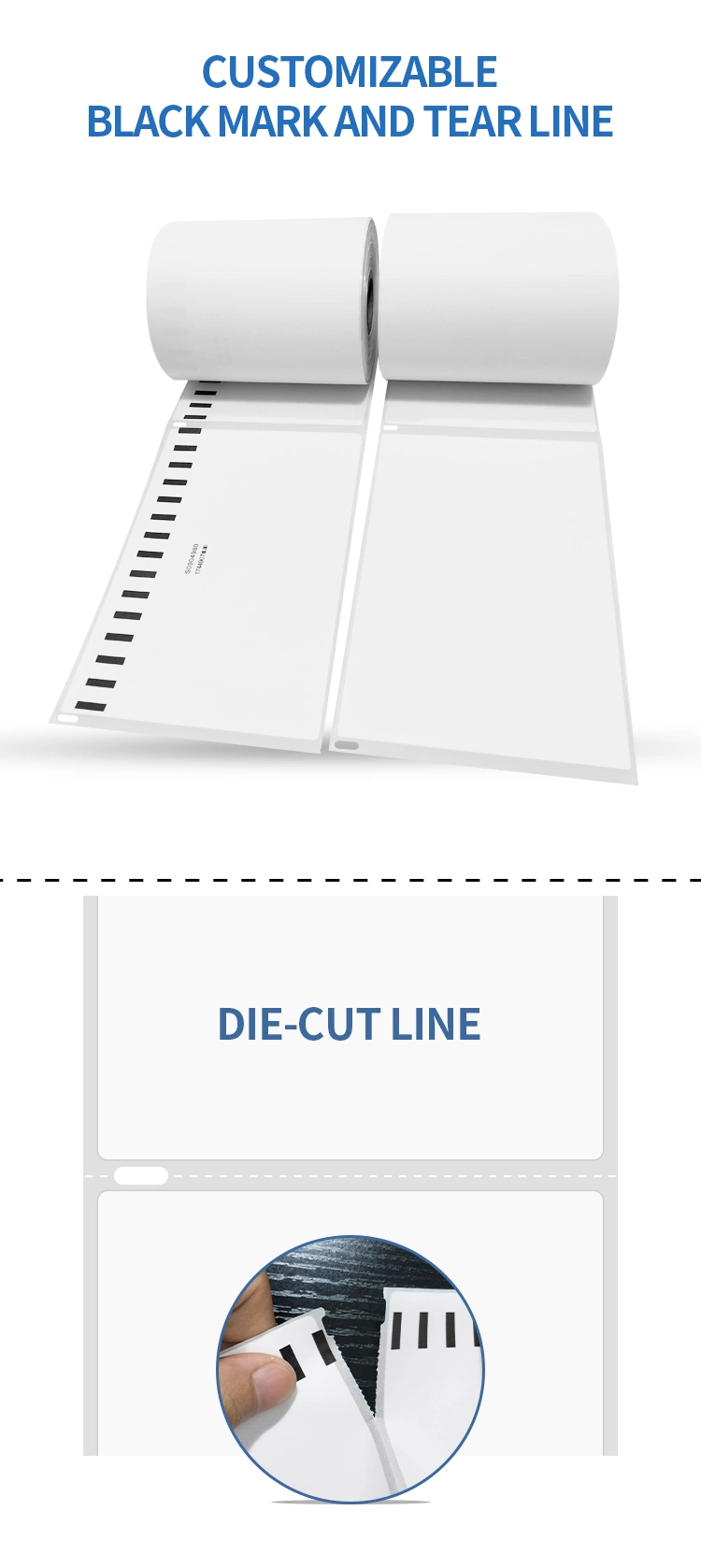 Free Sample Dymo Label Compatible Shipping Logistics Express Labels