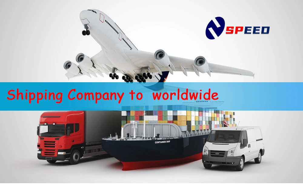 Worldwide China Shenzhen to Spain, Italy FCL LCL DDP Logistics Sea Shipping Forwarding Cargo Service