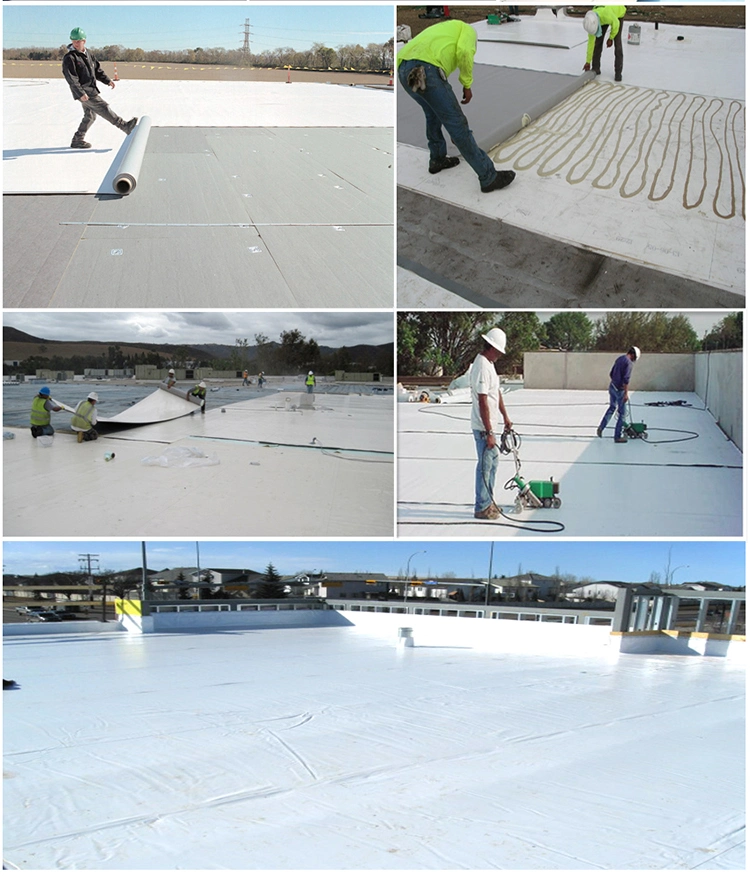 Good Tear Strength Antibacterial and Mildew Proof PVC Waterproofing Membrane Pond Waterproofing