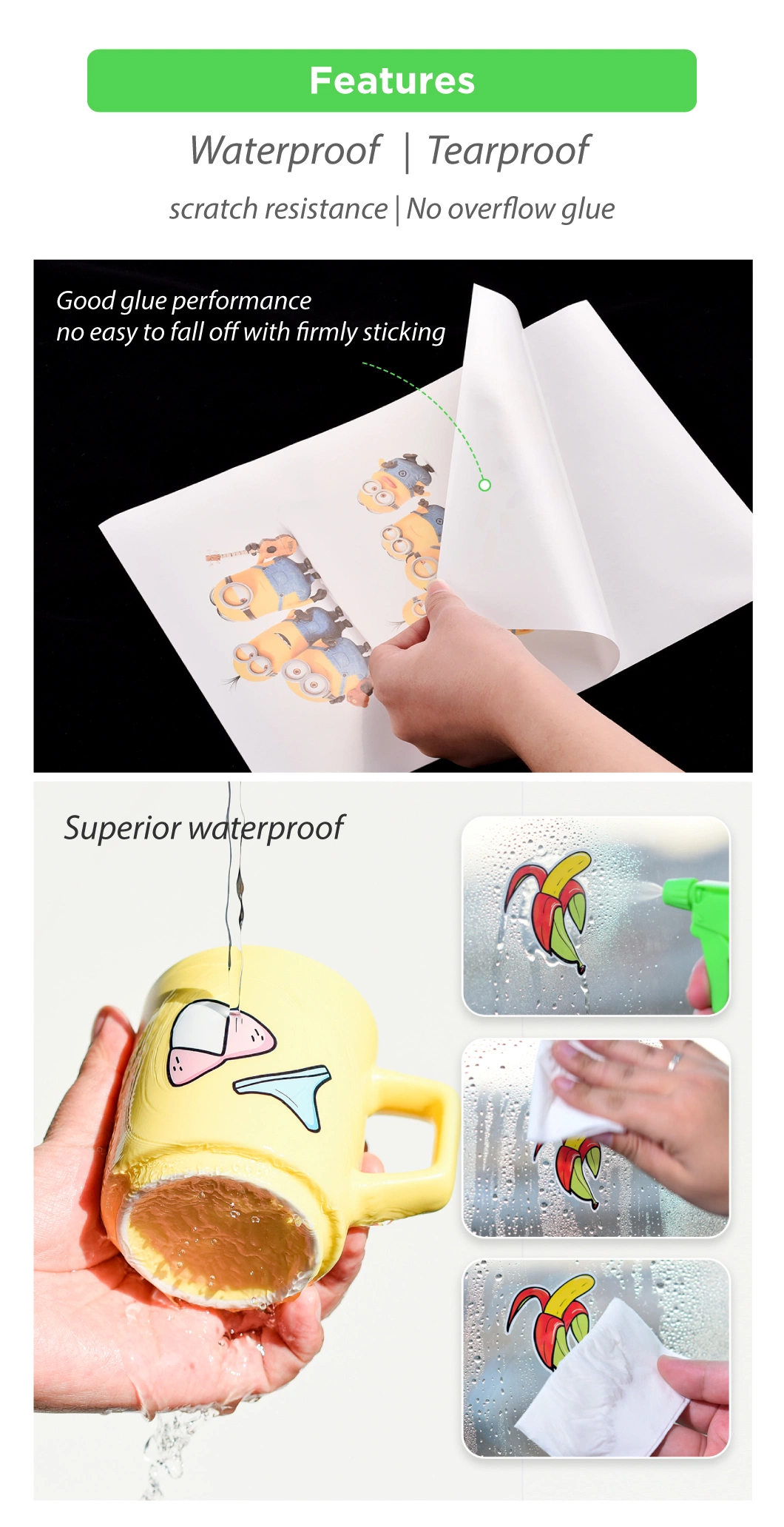 Adhesive strong Rightint Carton OEM Shanghai sticker printing flexography label